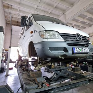 Kilometri pentru Urs